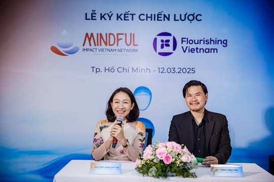 Các giải pháp thực hành Mindfulness theo chuẩn quốc tế tại Việt Nam