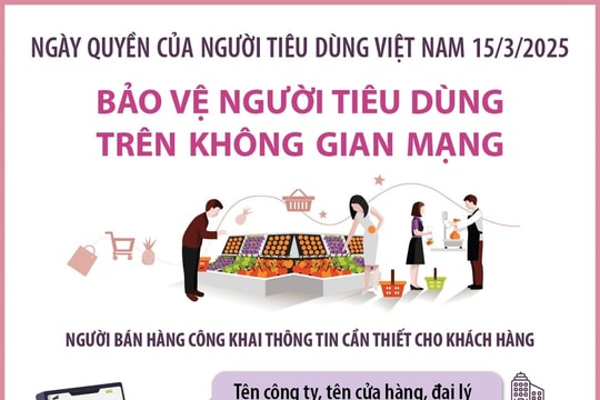 Bảo vệ người tiêu dùng trên không gian mạng