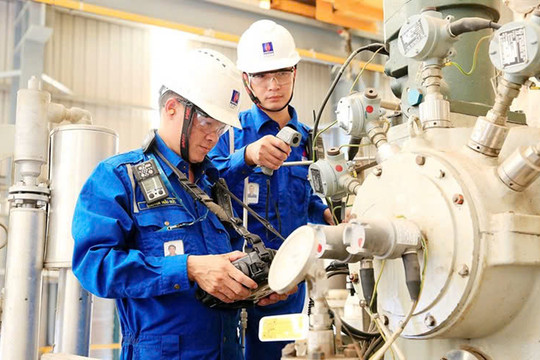 Bảo đảm nguồn nhân lực trình độ cao cho phát triển khoa học, công nghệ, đổi mới sáng tạo và chuyển đổi số quốc gia