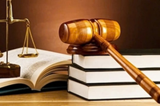 Bộ trưởng Bộ Khoa học và Công nghệ tham gia Ban Chỉ đạo rà soát và tổ chức thực hiện việc xử lý vướng mắc trong hệ thống pháp luật