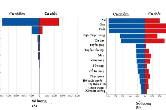 Vắc-xin phòng ngừa: công cụ quan trọng trong cuộc chiến chống lại ung thư
