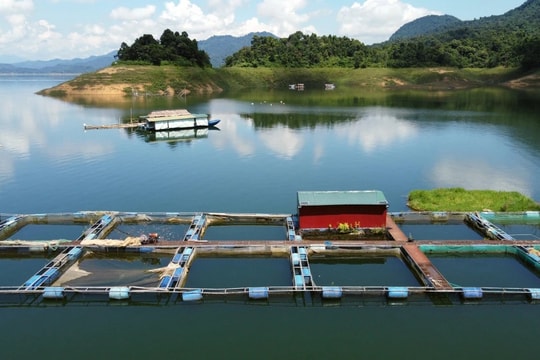 Thanh Hóa: Tăng giá trị nông sản, nâng tầm sản xuất nhờ khoa học công nghệ