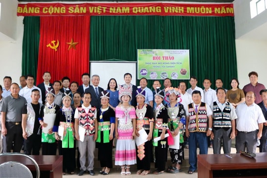 JICA hỗ trợ kỹ thuật trồng tỏi cho dân tộc thiểu số tại Nghệ An