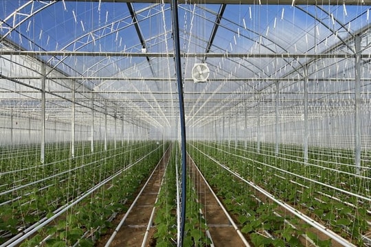 Ứng dụng 5G hiện đại hóa ngành nông nghiệp: Kết quả từ một số nước châu Âu