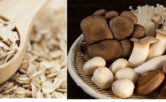 Chất xơ trong yến mạch và nấm giúp loại bỏ hóa chất gây ung thư trong máu
