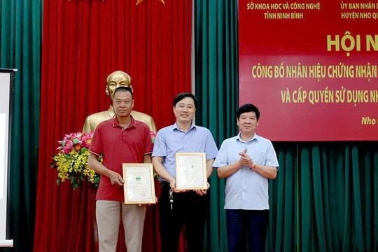 Ninh Bình: Công bố nhãn hiệu chứng nhận “Trà hoa vàng Cúc Phương”