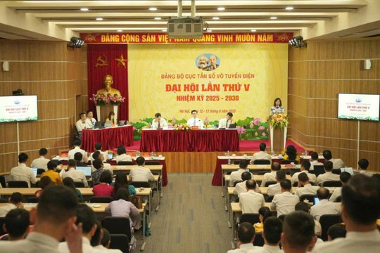 Xây dựng quy định về trình tự, thủ tục cấp giấy phép và mức thu phí đối với hoạt động thí điểm có kiểm soát dịch vụ viễn thông sử dụng công nghệ vệ tinh quỹ đạo thấp.