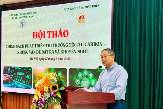 Xây dựng chính sách phát triển thị trường tín chỉ carbon