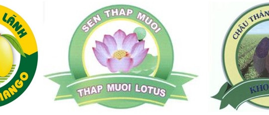 Đồng Tháp: Tháo gỡ khó khăn trong quản lý và phát triển chỉ dẫn địa lý, nhãn hiệu chứng nhận mang địa danh khi tổ chức lại chính quyền địa phương hai cấp