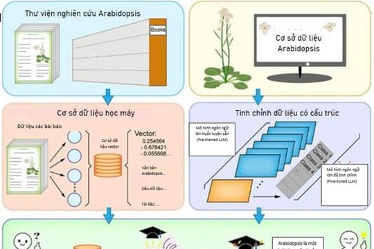PlantGPT: “Trợ lý ảo” về di truyền thực vật