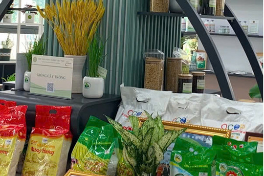 Cơ chế liên kết đa chiều cho hệ sinh thái đổi mới sáng tạo sản phẩm OCOP tại Việt Nam