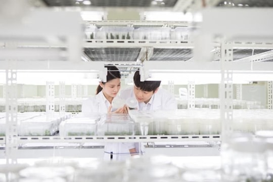 9 sáng kiến cốt lõi trong kế hoạch phát triển KH&CN 2025 của Hàn Quốc (Phần 2)