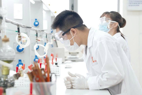Chính sách học bổng cho người học các ngành khoa học cơ bản, công nghệ chiến lược