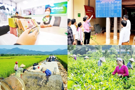 Dữ liệu khai thác từ cơ sở dữ liệu các chương trình mục tiêu quốc gia có giá trị sử dụng chính thức