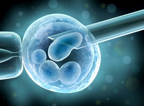 Một số kiến nghị về tăng cường công nghệ hỗ trợ sinh sản trong định hướng phát triển y học quốc gia