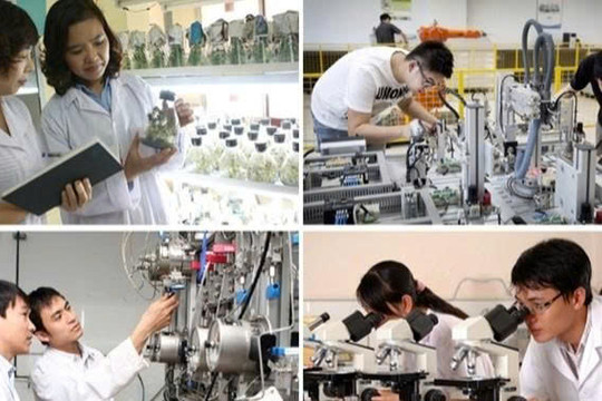 Nâng cao chất lượng đào tạo đổi mới sáng tạo và tư duy khởi nghiệp tại các cơ sở giáo dục