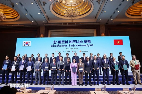 Nhiều thỏa thuận hợp tác về hạ tầng số, chuyển đổi số giữa doanh nghiệp Việt Nam và Hàn Quốc