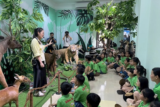 Liên minh học thuật từ Bảo tàng