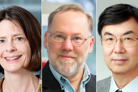 Giải Nobel Y sinh 2025 vinh danh khám phá cơ chế dung nạp miễn dịch ngoại vi