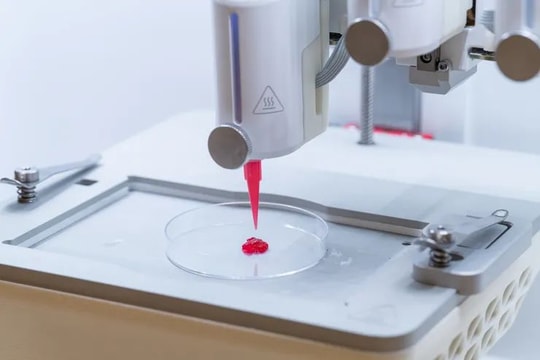 Đột phá y học: In 3D da nhân tạo có mạch máu