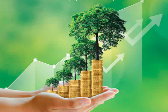 Đẩy mạnh truyền thông chính sách nhằm rút ngắn nhận thức và hành động về chuyển đổi xanh