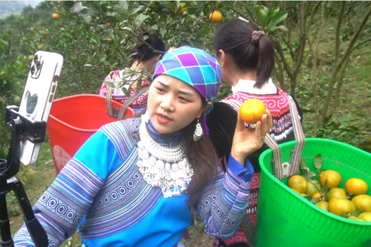 Nhận diện rào cản để người dân vùng cao tiếp cận chuyển đổi số