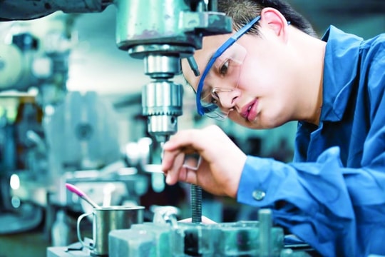 Hướng dẫn thi hành một số điều của Luật Khoa học, công nghệ và đổi mới sáng tạo