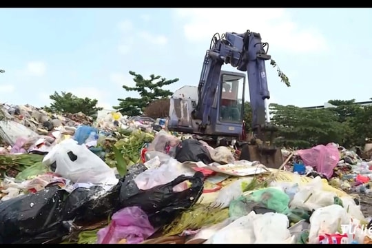 Công nghệ xanh trong xử lý rác hữu cơ