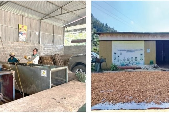 Trạm công nghệ dùng chung: Giải pháp thúc đẩy sản xuất OCOP
