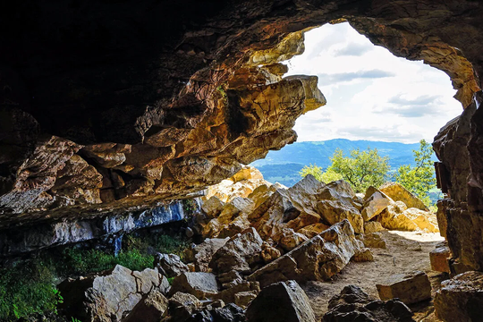 ‏Phát hiện bất ngờ về ngộ độc chì trong sự tiến hóa của loài người‏