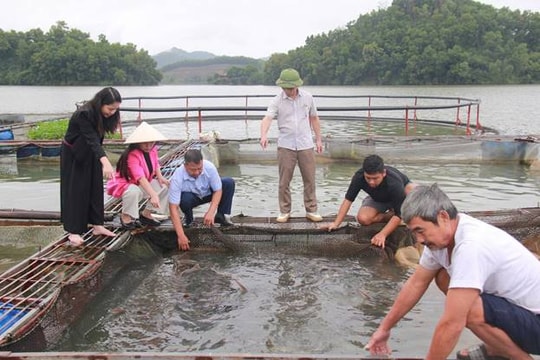 Cá Tầm trên hồ Núi Cốc - Hướng đi mới cho kinh tế mặt nước và du lịch sinh thái tại Thái Nguyên