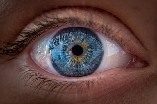 Liệu có thể xác định nguy cơ bệnh tim qua đôi mắt?