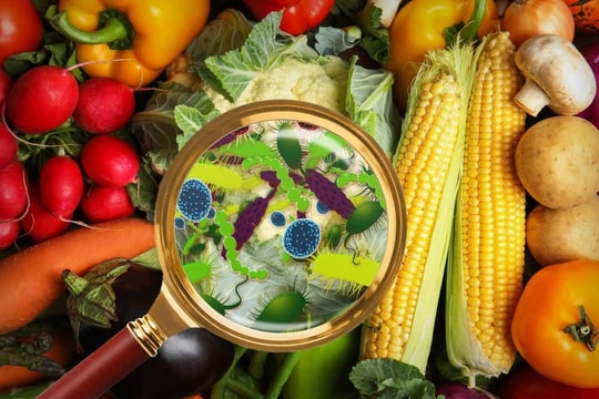 Môi trường và an toàn thực phẩm trong phát triển bền vững