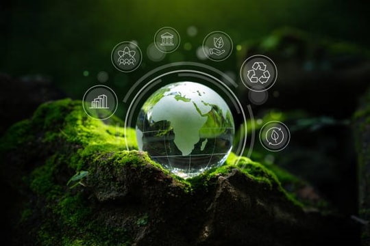 Công nghệ, giáo dục và chính sách: Ba chân kiềng của xã hội số bền vững