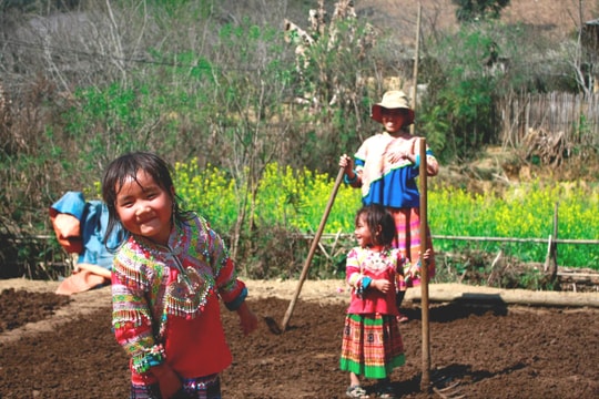 Hợp nhất 3 chương trình mục tiêu quốc gia: Tập trung nguồn lực phát triển vùng đồng bào dân tộc thiểu số