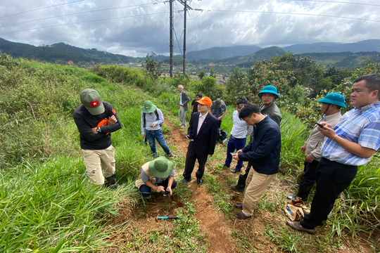 Viện Hàn lâm KH&CN Việt Nam cử chuyên gia hỗ trợ Lâm Đồng khảo sát sạt lở