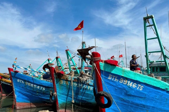 Lâm Đồng: Triển khai hệ thống nhật ký khai thác thuỷ sản hỗ trợ ngư dân