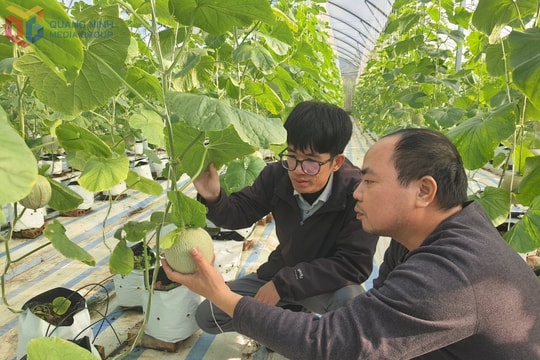 Quảng Ninh tìm hướng đi bền vững cho đầu ra nông sản