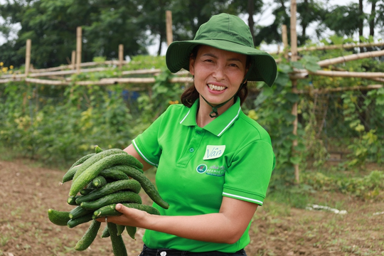 Xã đảo Minh Châu “xanh hóa” môi trường nhờ mô hình của một phụ nữ dám nghĩ, dám làm