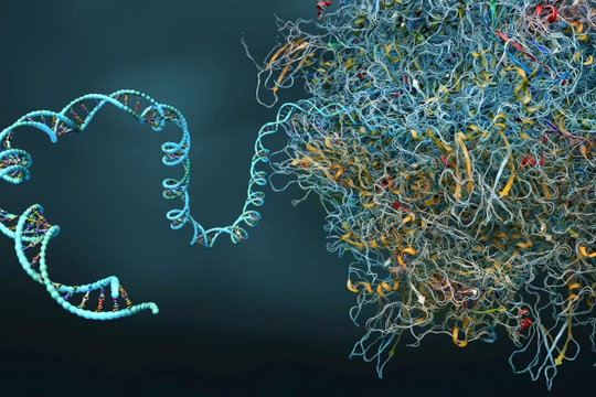 ‏Công cụ chỉnh sửa gen giúp sửa lỗi di truyền gây bệnh‏