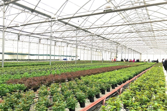 Chuyển đổi số - Động lực mới cho hành trình xoá đói giảm nghèo