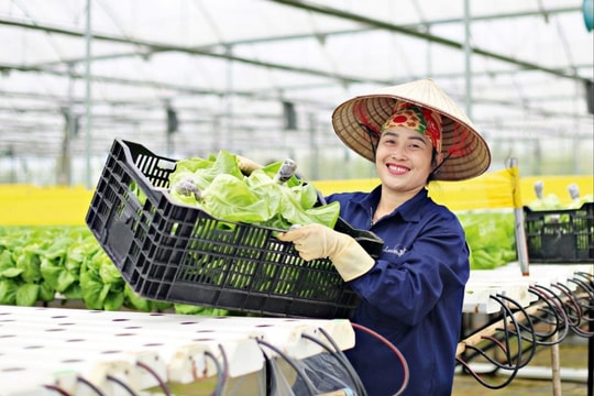 Xử lý rác thải nông thôn: Từ mô hình “3 sạch” đến kinh tế tuần hoàn