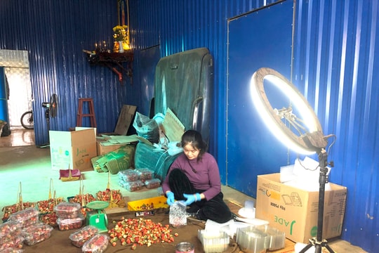 Đẩy mạnh chuyển đổi số, nâng tầm nông sản Việt