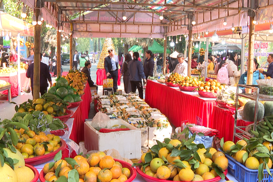 Hưng Yên: Đưa cây cam trở thành trụ cột kinh tế trong xây dựng nông thôn mới