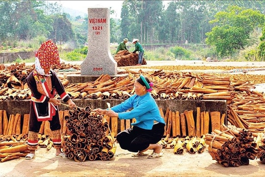 Quảng Ninh chuẩn hóa danh mục 13 xã, đặc khu miền núi