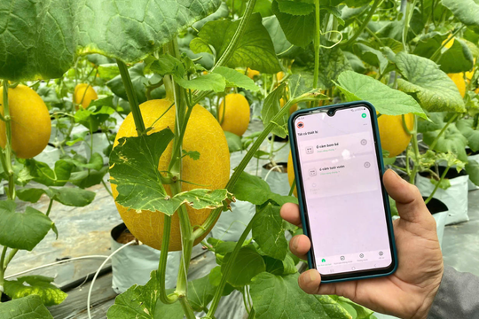 Xóa bỏ khoảng cách thông tin - nền tảng giảm nghèo bền vững