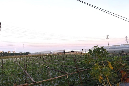 Điện Biên quyết tâm trong hành trình giảm nghèo