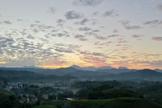 Phát triển chè Long Cốc: Mô hình kinh tế xanh giúp người dân đổi đời