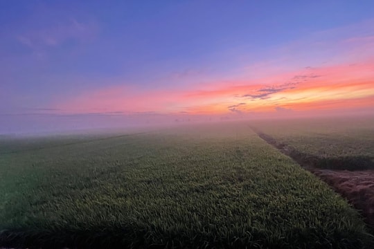 Cần Thơ: Phát triển mô hình kinh tế tuần hoàn từ rơm