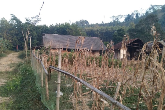 Phong Thổ chuyển mình mạnh mẽ nhờ đa dạng hóa mô hình kinh tế